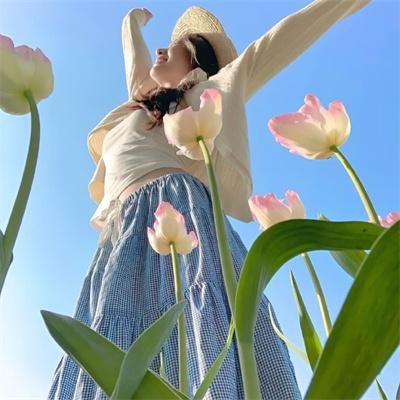三剑客：米莱迪