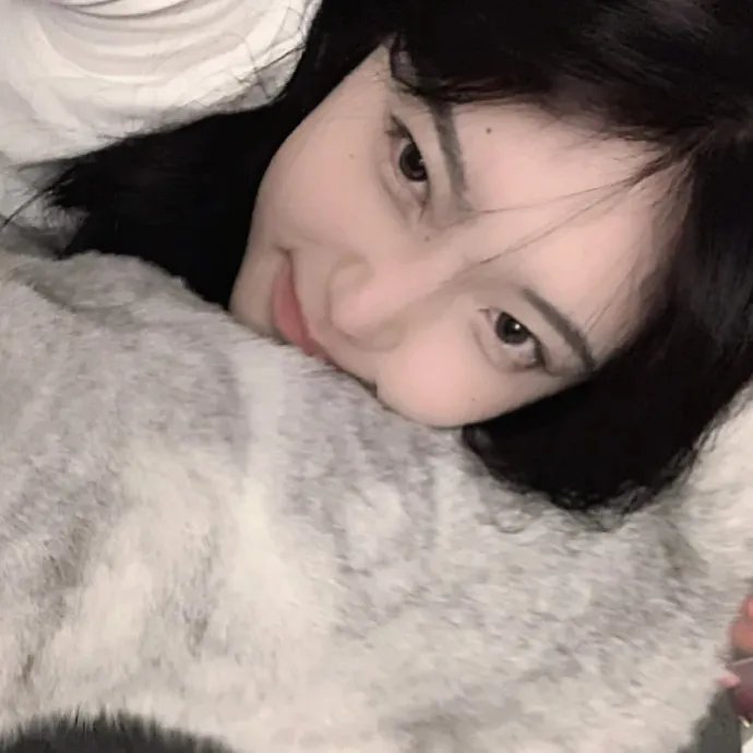 来去美国2